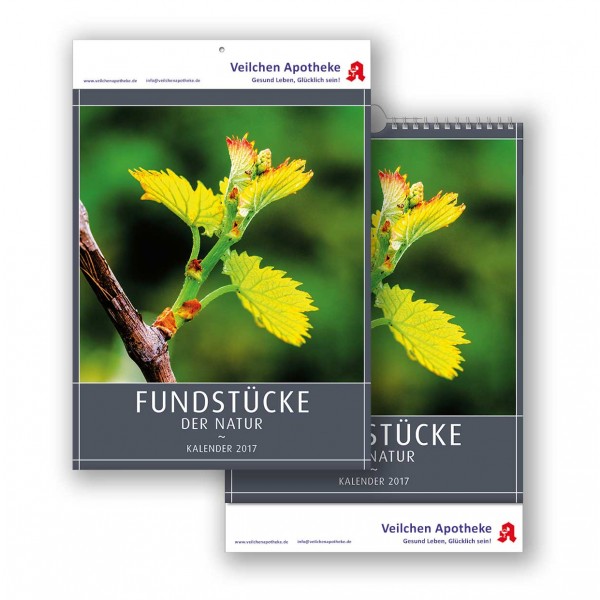 Bildkalender Modell Fundstücke der Natur